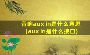 音响aux in是什么意思(aux in是什么接口)